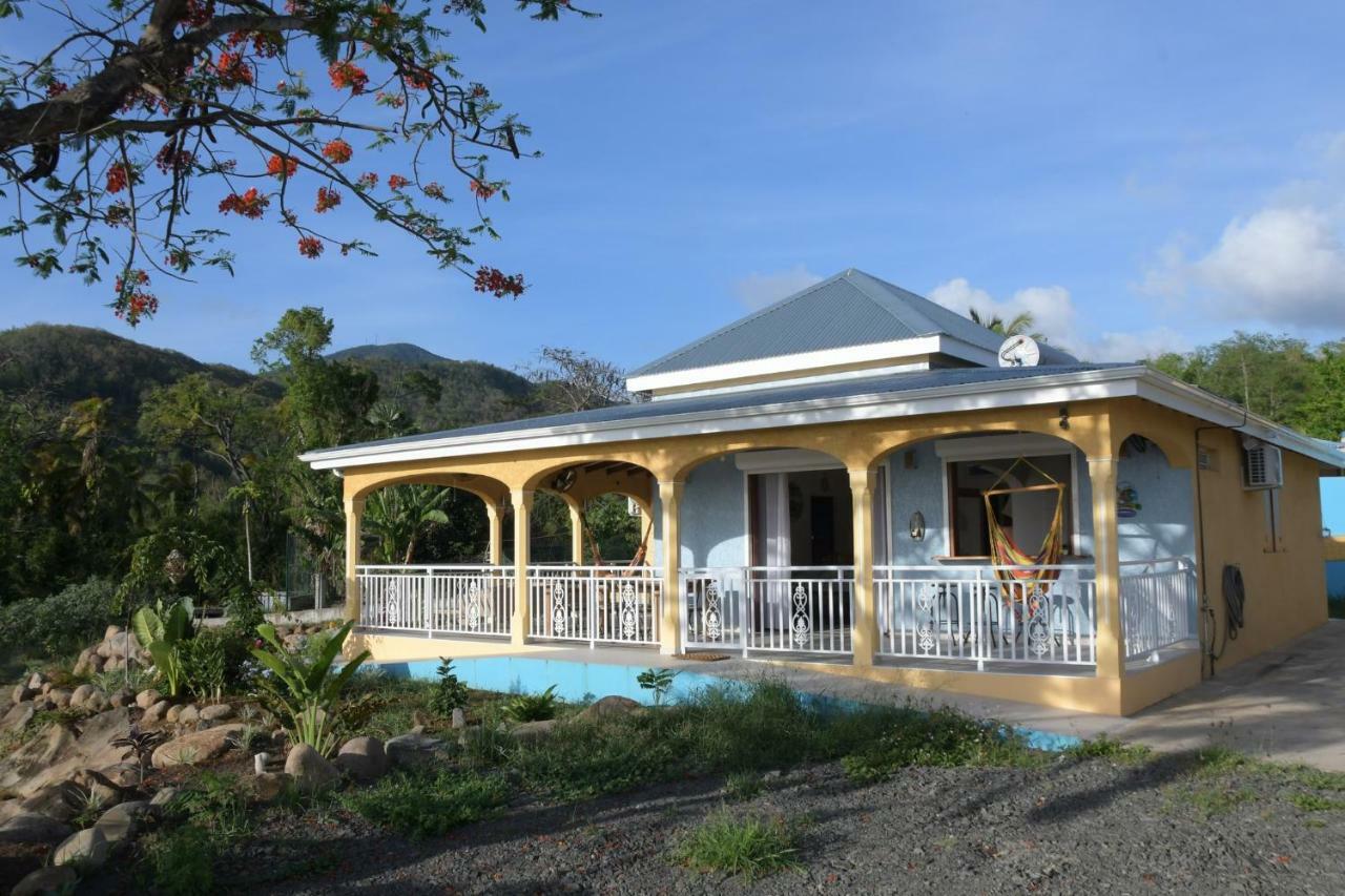 בוויאנט Villa Stenella מראה חיצוני תמונה